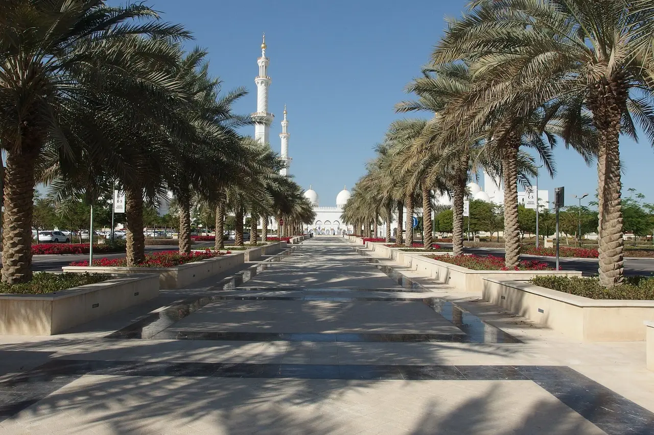 The palm avenue leading to the Sheikh Zayed Grand Mosque