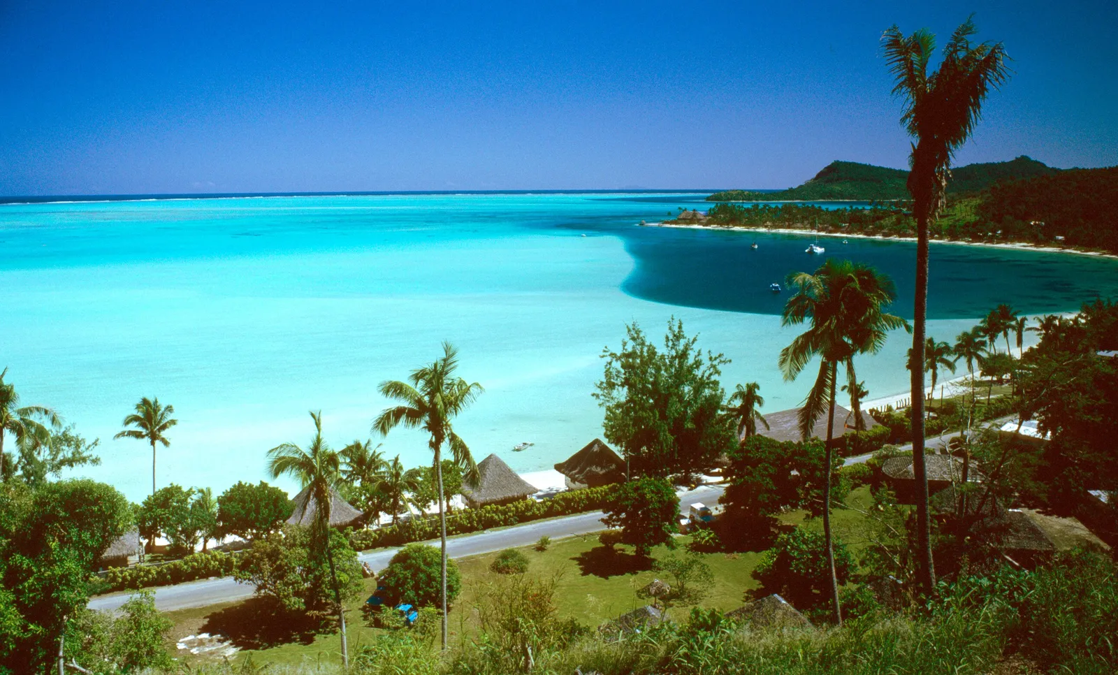 Matira beach and the lagoon seen from the hill, with palms