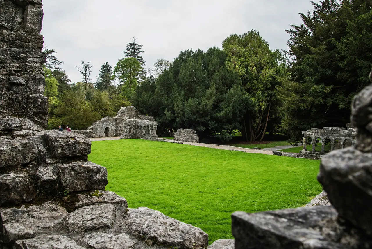 The ruins of Cong Abbey around a lawn, with yews and old trees