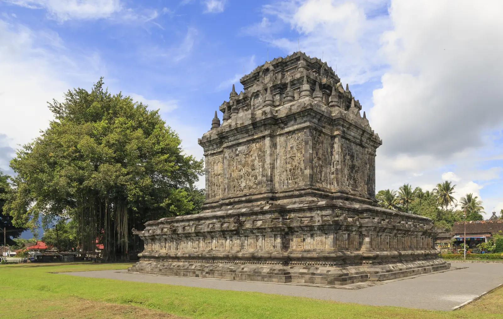 Mendut temple, its carved stone body on a broad terrace, a banyan tree beside it