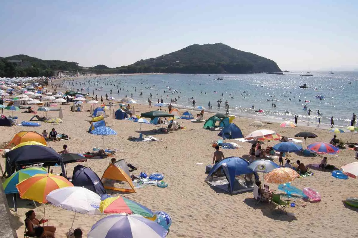 Goza Shirahama beach in summer, crowded with parasols, a wooded headland behind