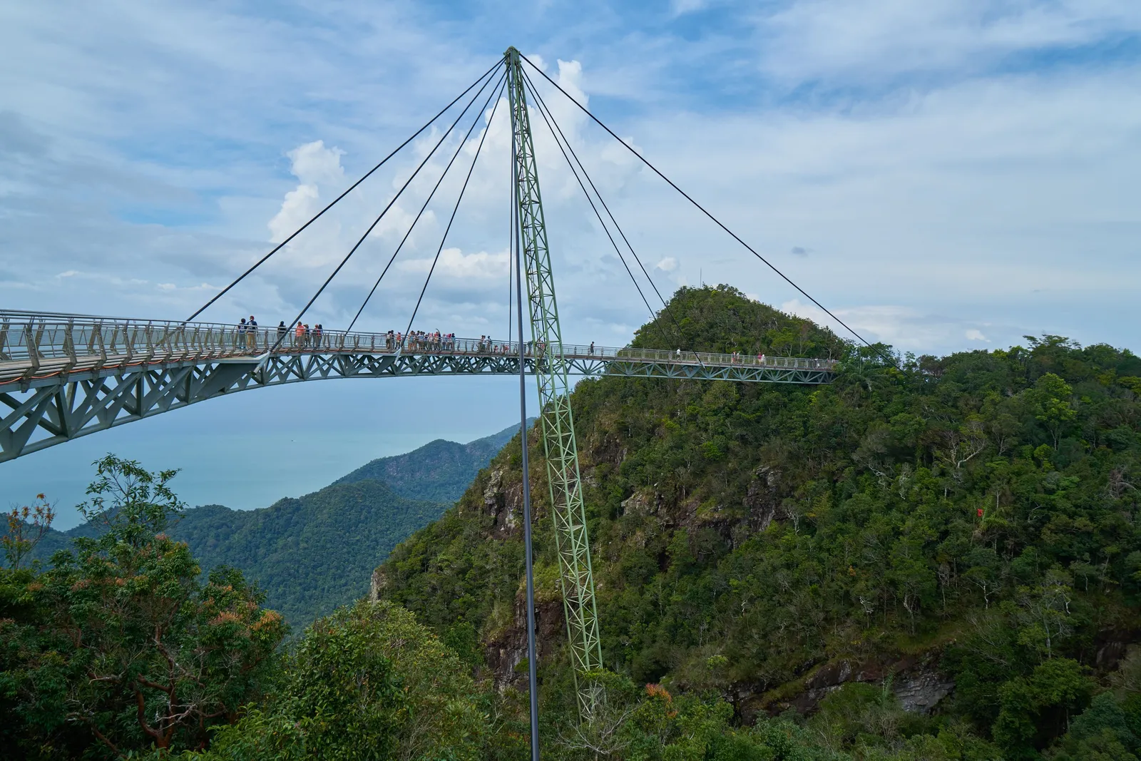 The curved Sky Bridge hung between wooded peaks from its leaning pylon and cables