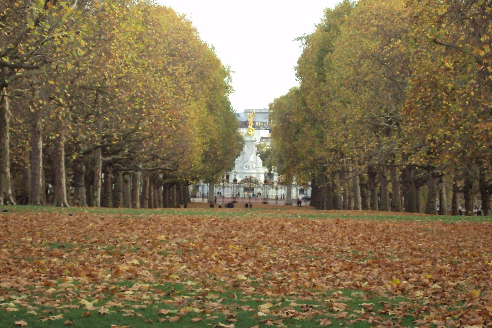 Green Park in autumn, with the Victoria Memorial at the end of the avenue of plane trees