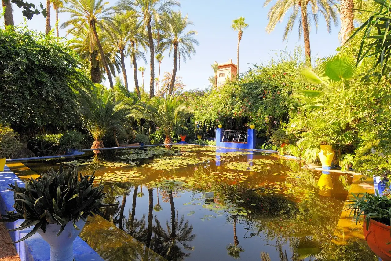 The pool and palms of the Jardin Majorelle