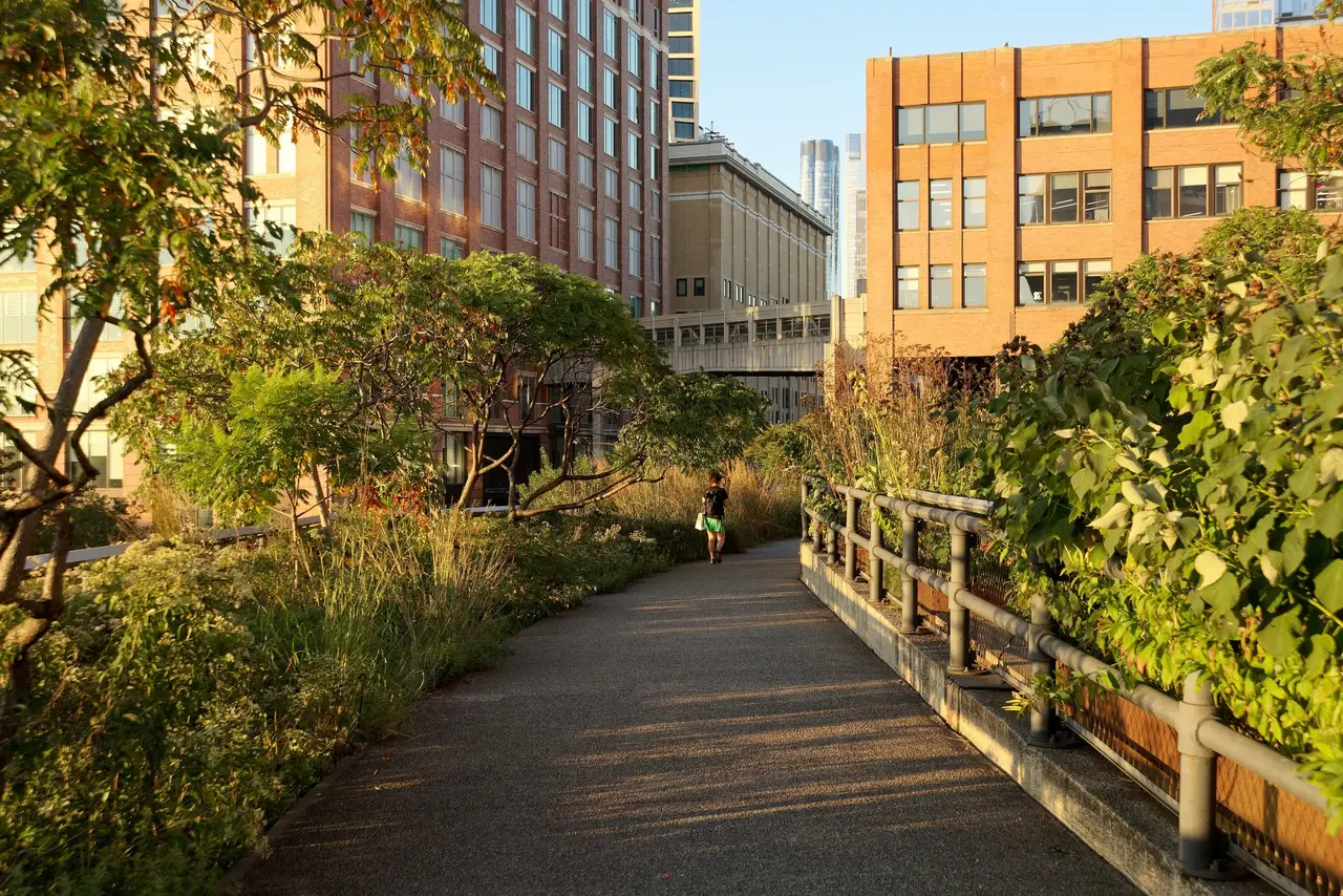 The High Line at sunset, the walkway among the plants and Chelsea’s buildings