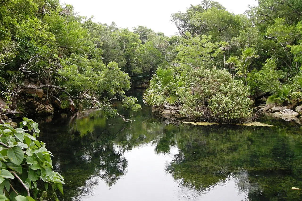 A lagoon at Xel-Há among the mangroves, the water green and still