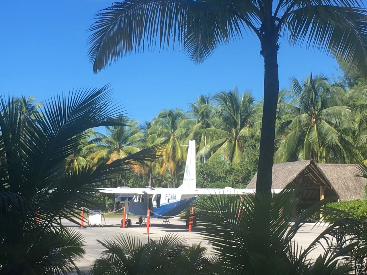 Air Tetiaroa’s Twin Otter parked on Onetahi’s airstrip among the palms
