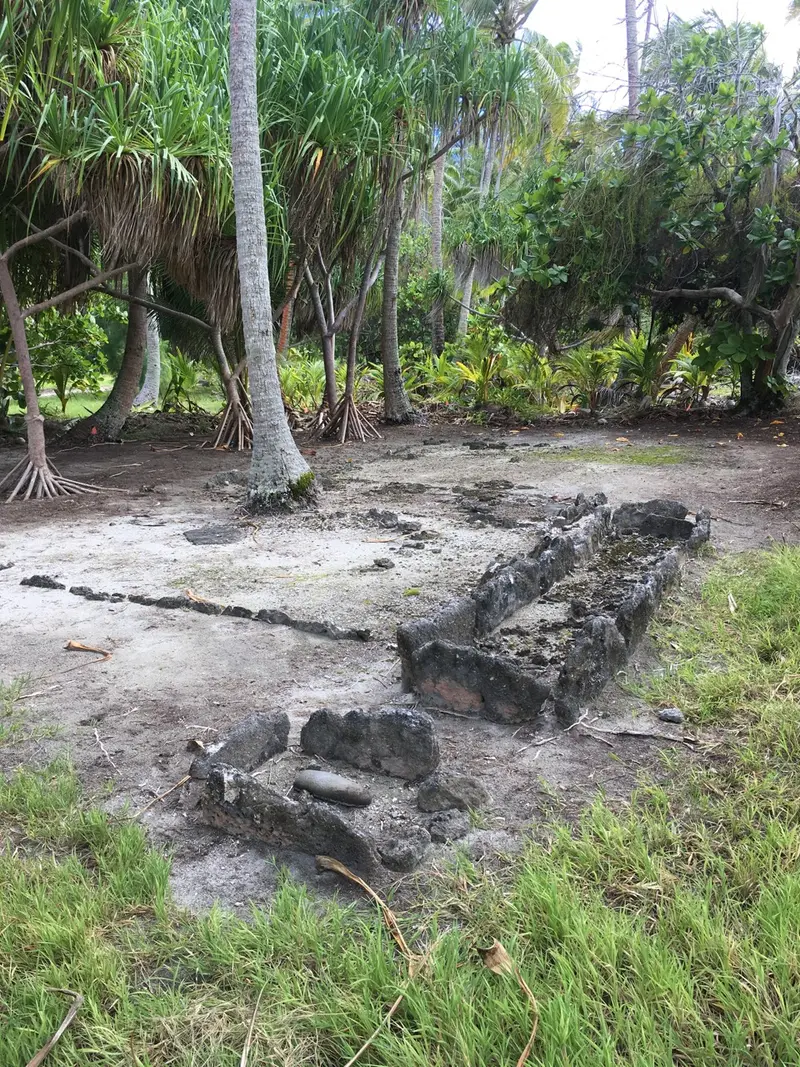 The stones of a marae among the trees on Tetiaroa