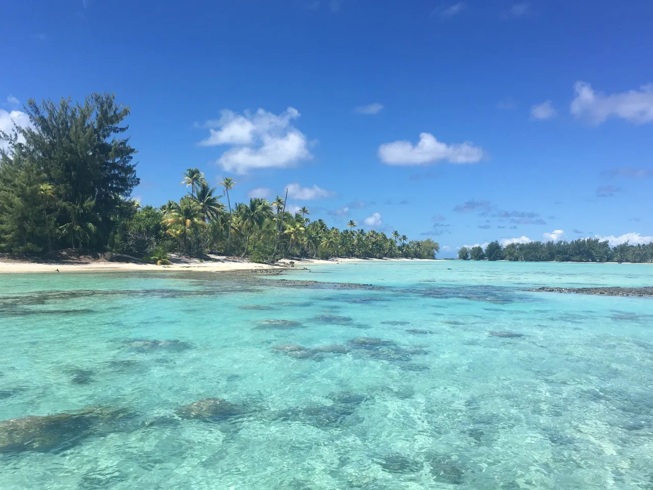 Tetiaroa’s lagoon, shallow water over coral and palm-covered motus on the horizon