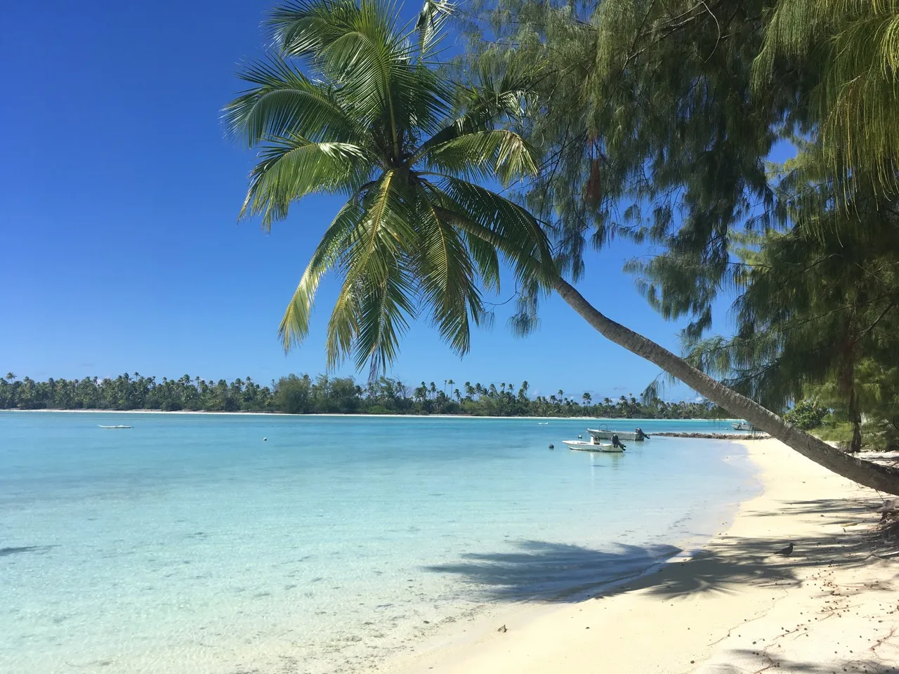 A beach on Onetahi, a palm leaning over the lagoon and a boat at anchor