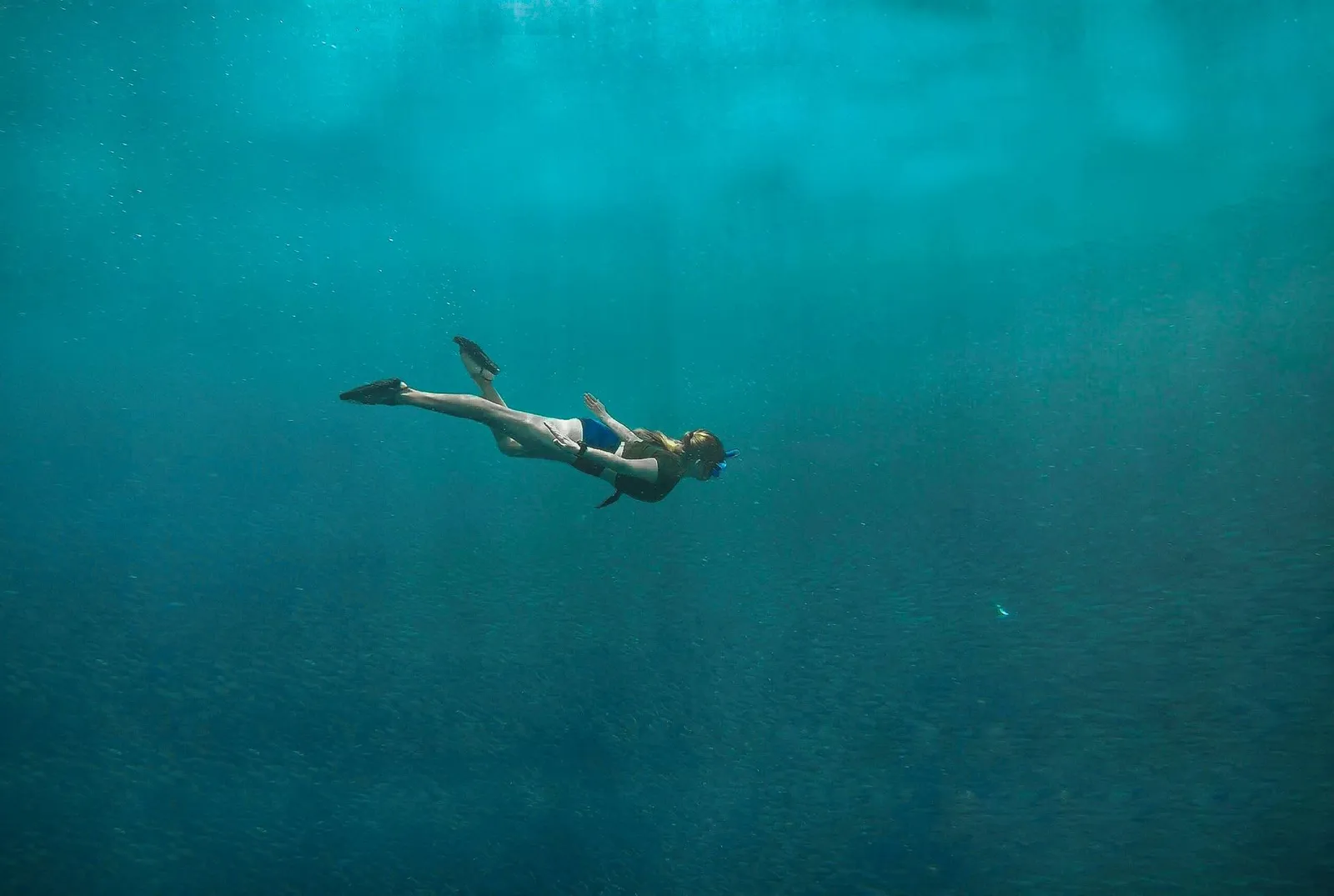 A free diver gliding down through the blue above the reef
