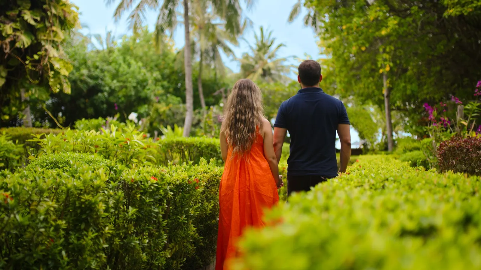 A couple walking away along the path between the garden hedges