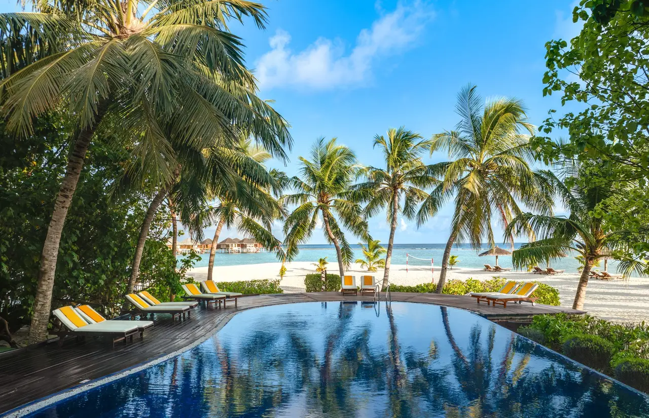 The island’s pool among the palms, loungers and the beach behind