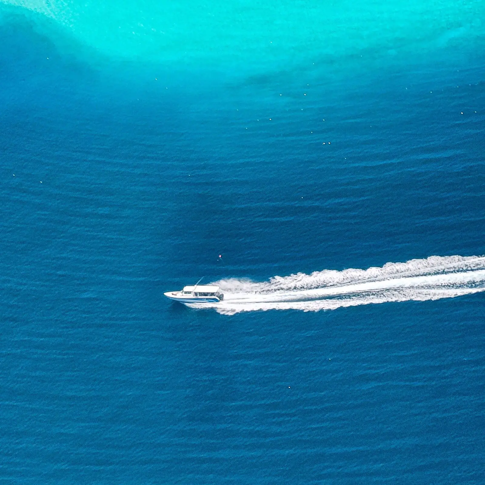 A speedboat seen from above, a white wake on the blue sea