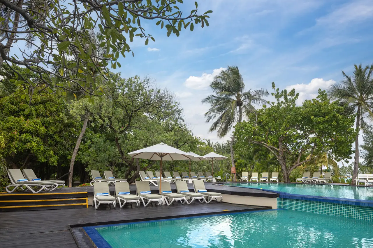 The pool among the trees, white loungers along its edge