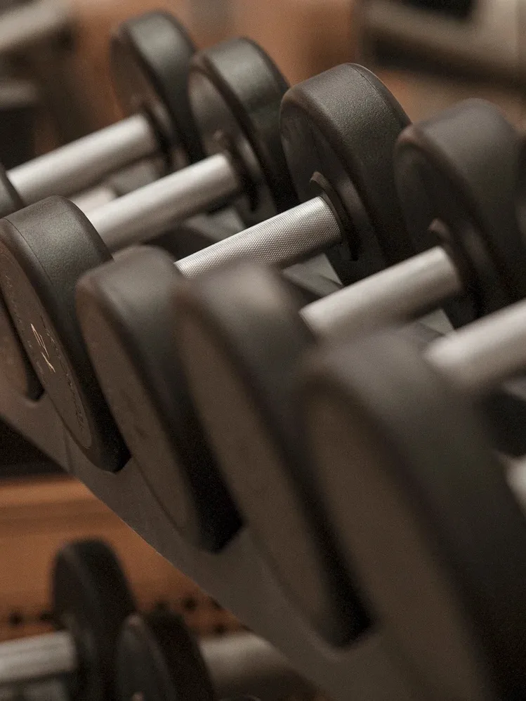I pesi della palestra