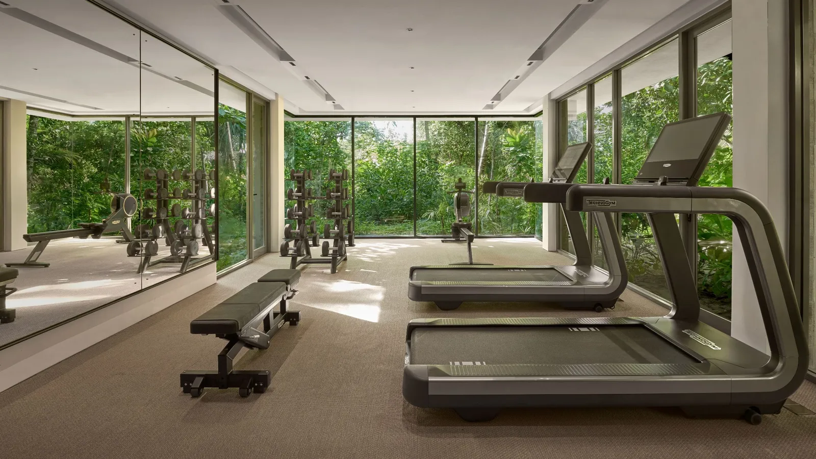 The gym with windows onto the garden.