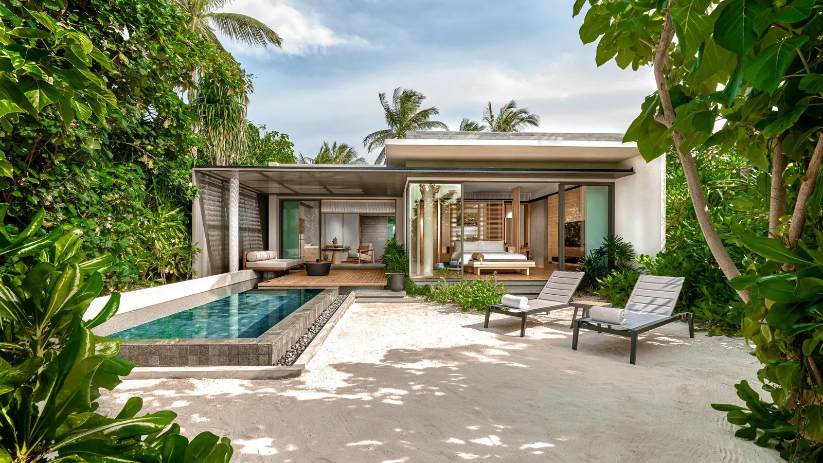 A private pool, 2 loungers and a timber deck among palms.
