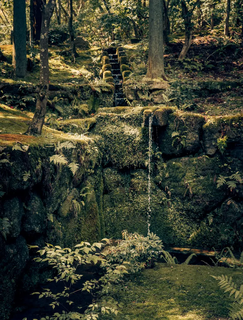 The secret garden: a trickle of water falls among moss-covered stones under the cedars, towards a stone stair.