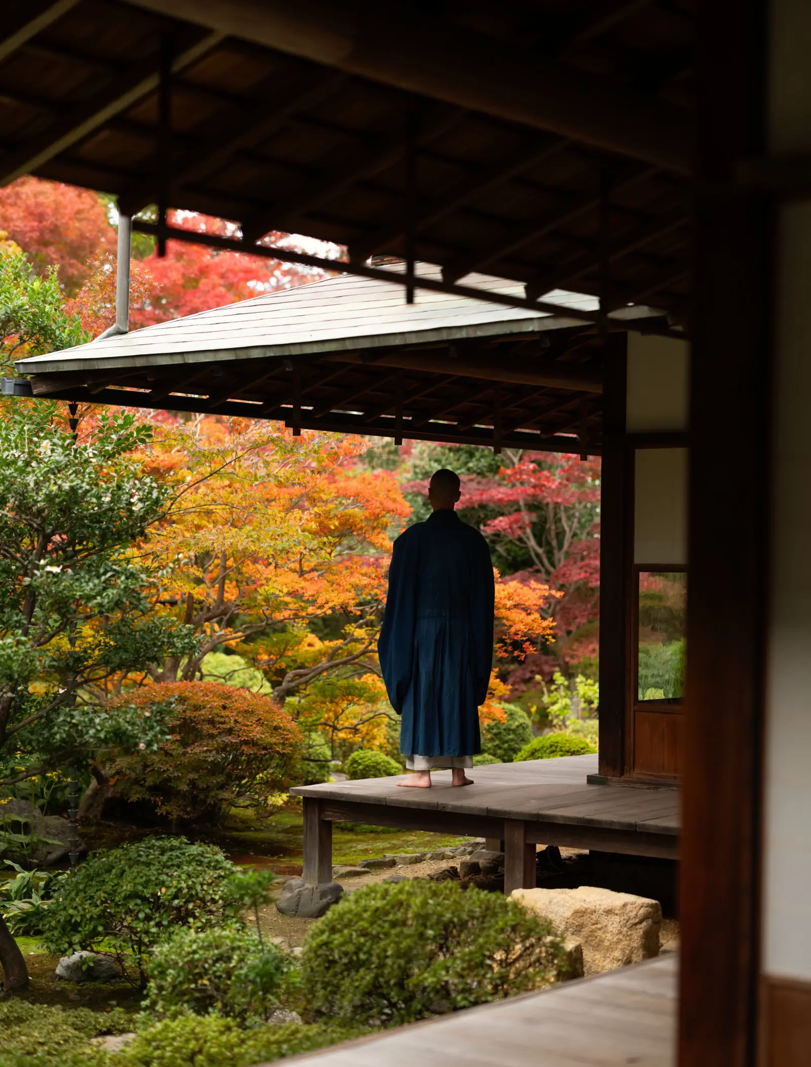 A figure in dark robes on a temple’s wooden veranda, facing a garden of red autumn maples.