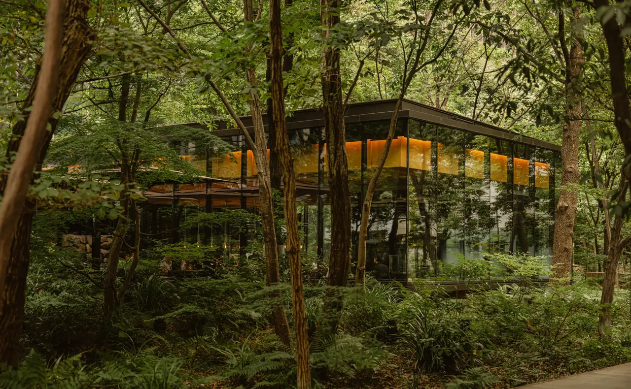 The Café by Aman, a lit glass pavilion among the trees and ferns of the Otemachi Forest.