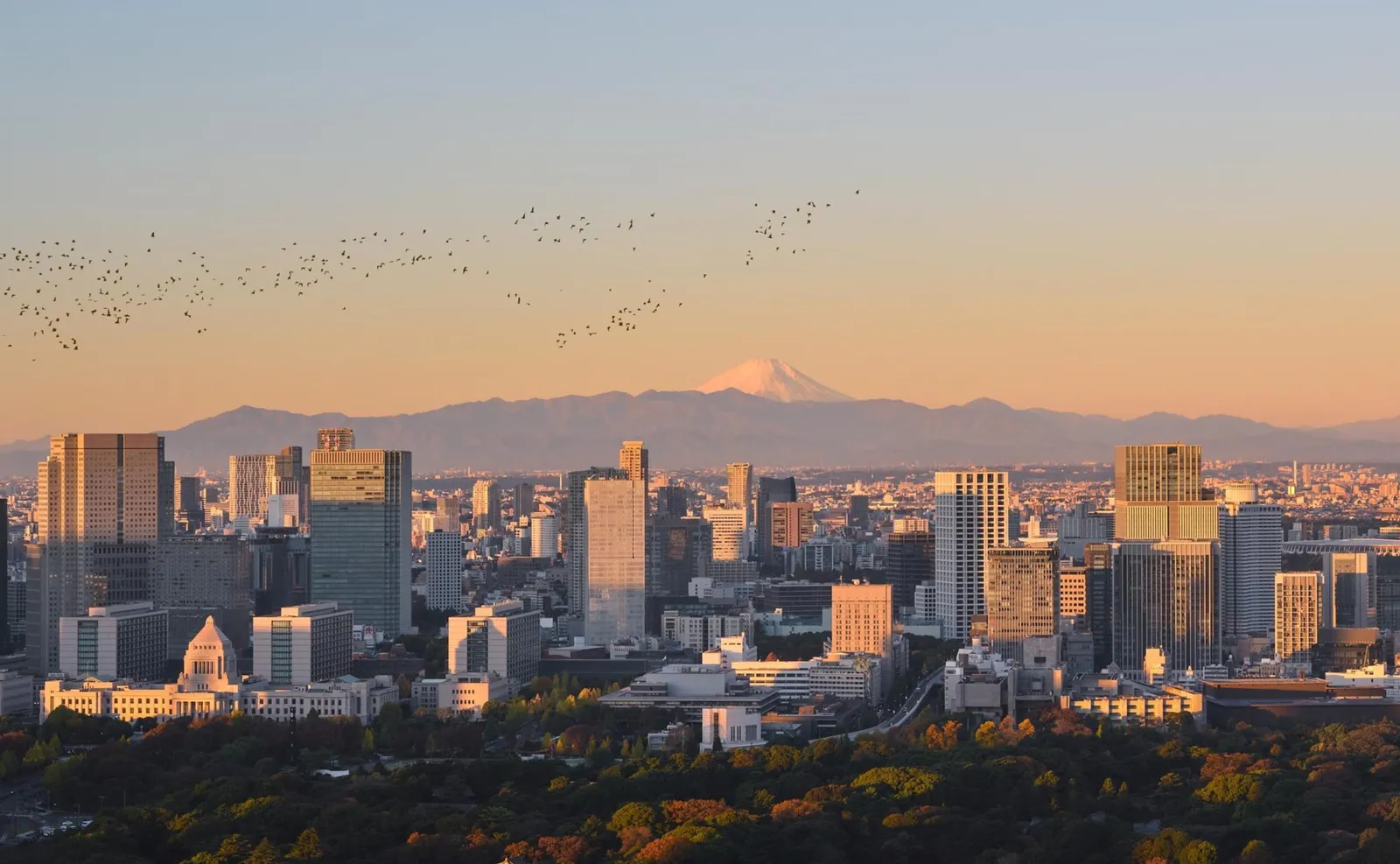 Tokyo at dawn from above: the Imperial Palace gardens in front, the towers, and a snow-capped Mount Fuji on the horizon.