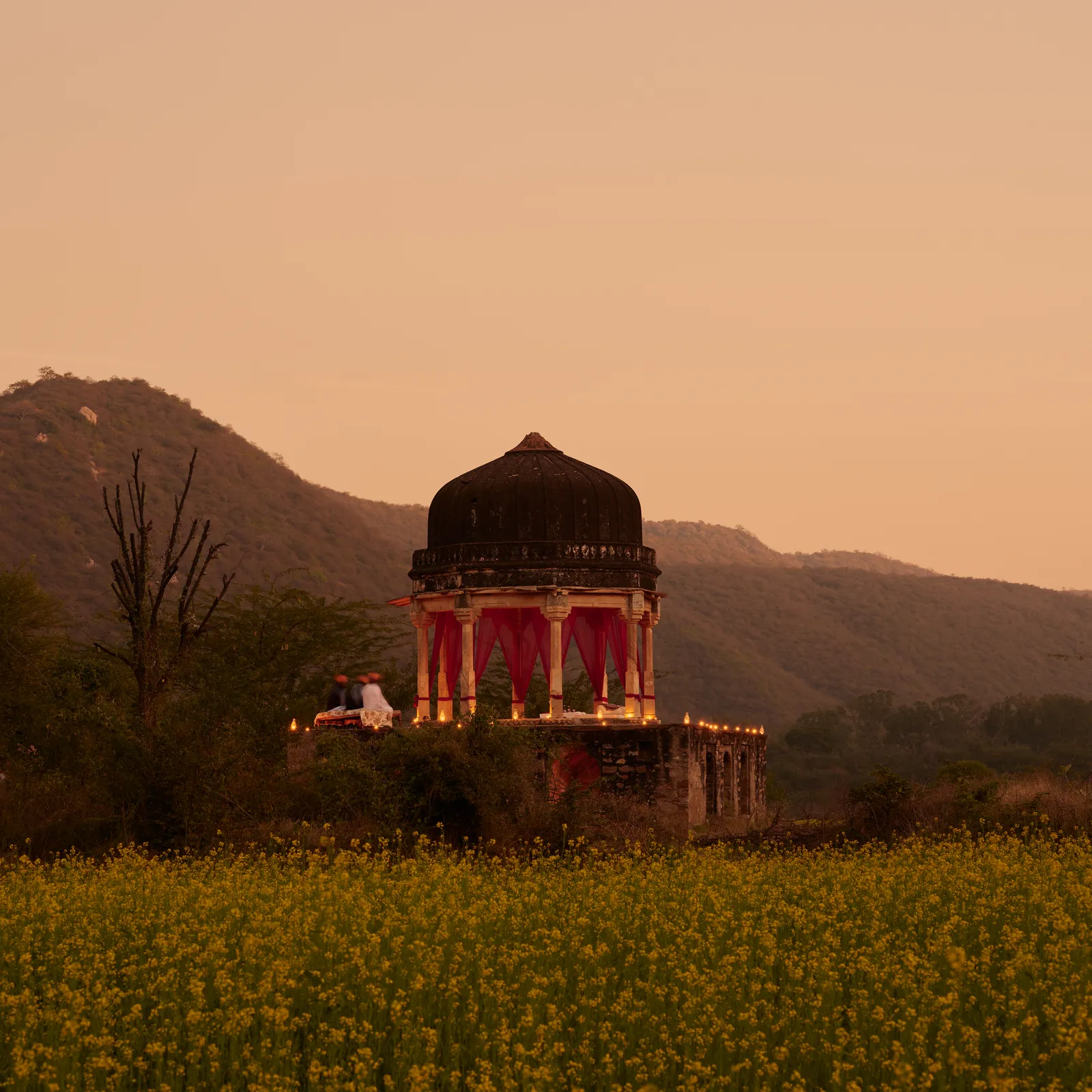 An old chhatri lit up in a mustard field, mountains behind at sunset
