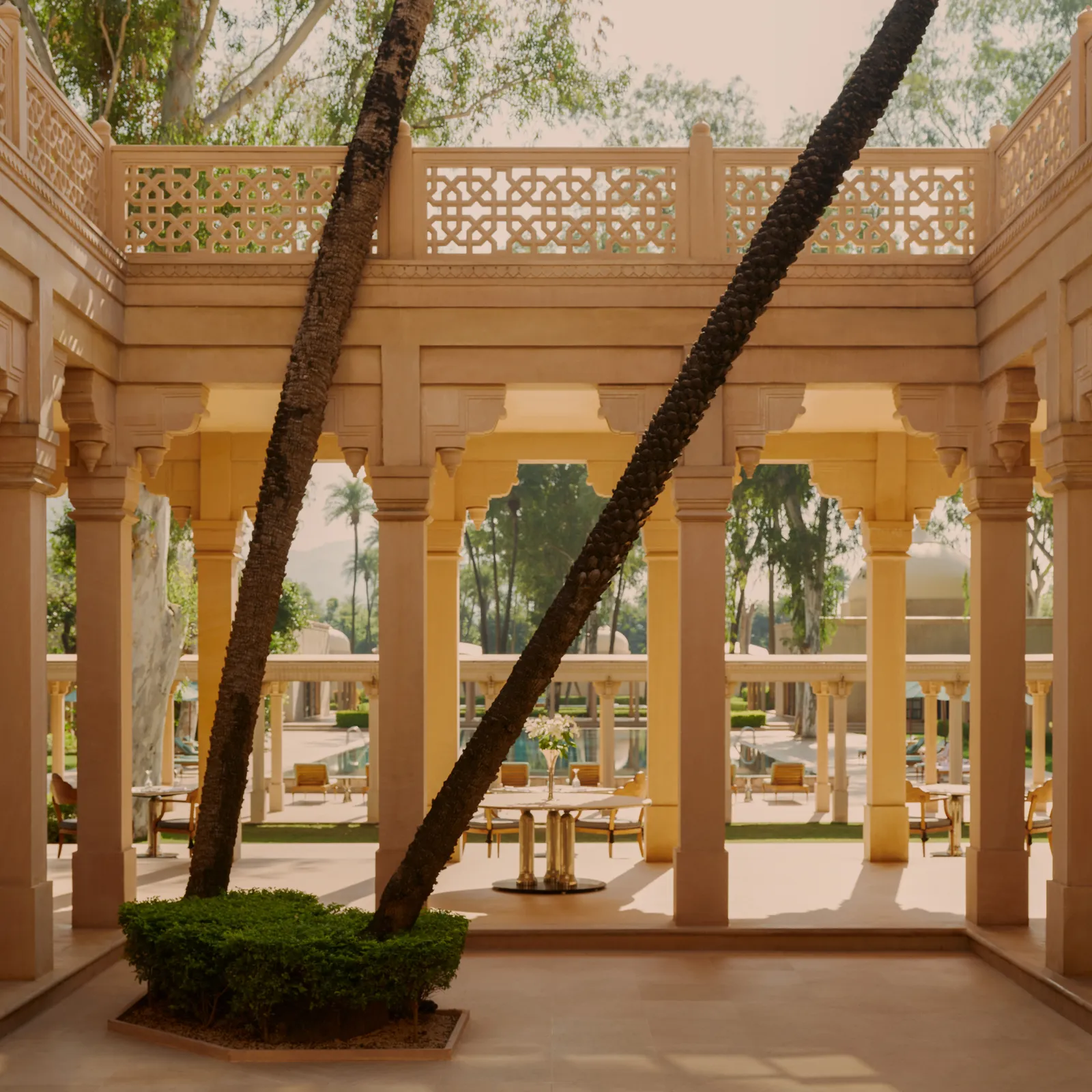 The restaurant colonnade, with a tree trunk rising through it