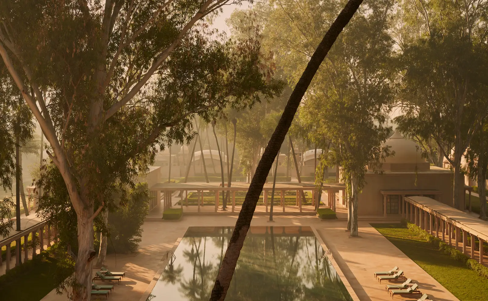 The pool courtyard seen through the branches of a tree, in the morning haze