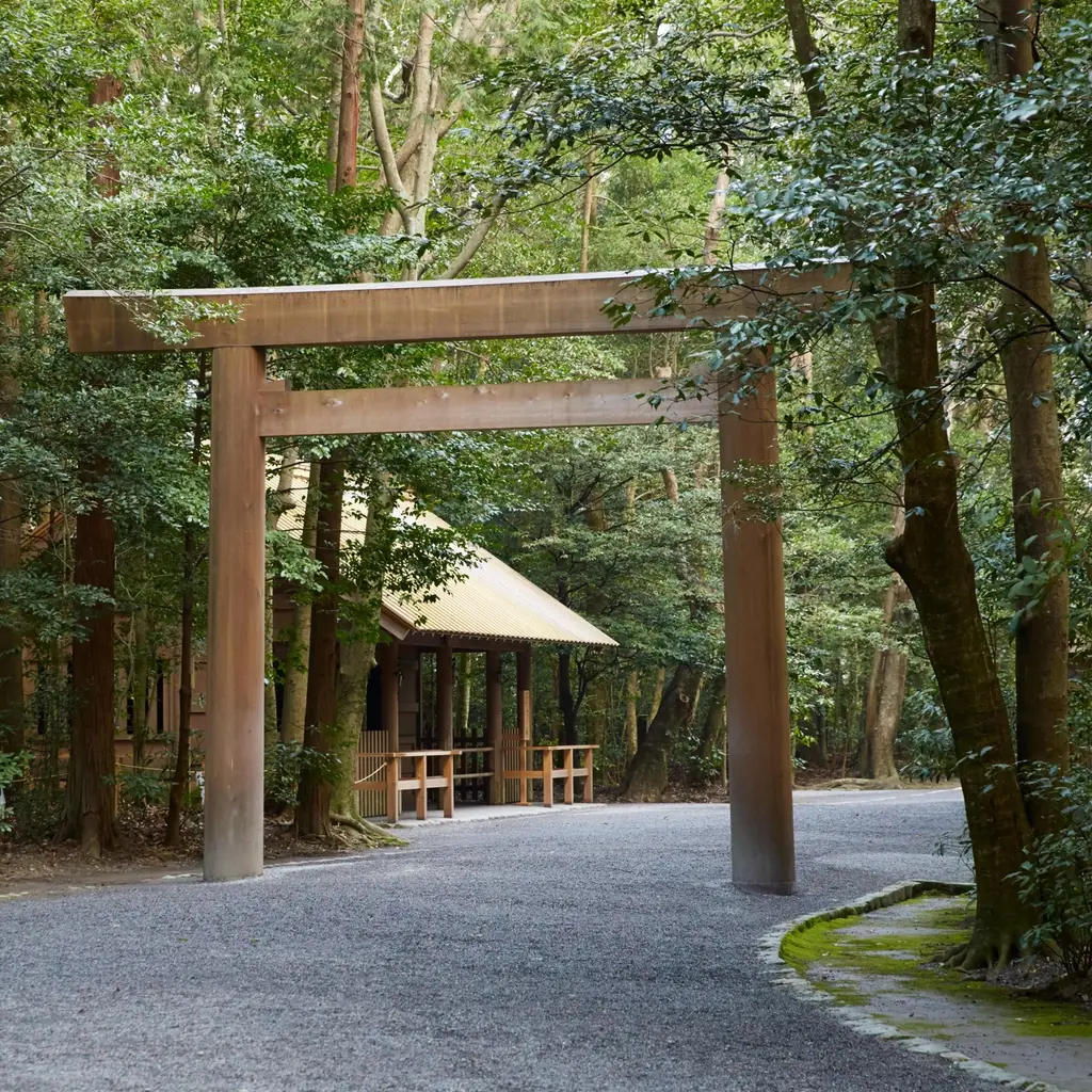 A plain wooden torii over a gravel path through tall trees