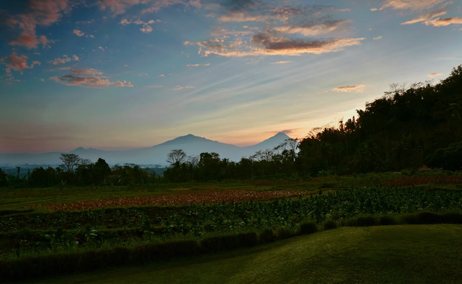 Fields at dusk in front of the Joglo Sawah, volcanoes on the horizon