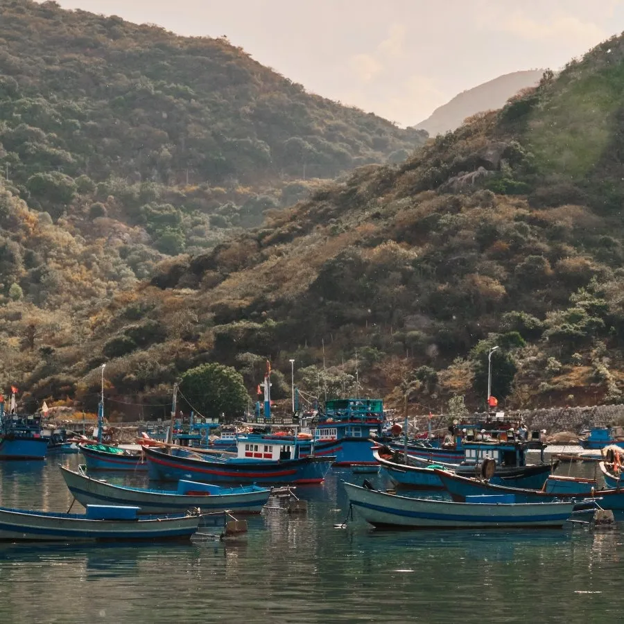 Fishing boats moored in Vinh Hy harbour, between the hills