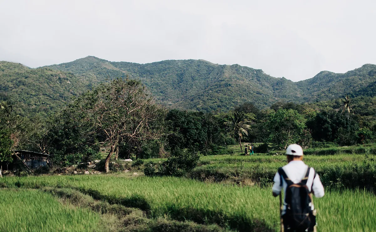 A walker among rice fields, with the Núi Chúa mountains behind