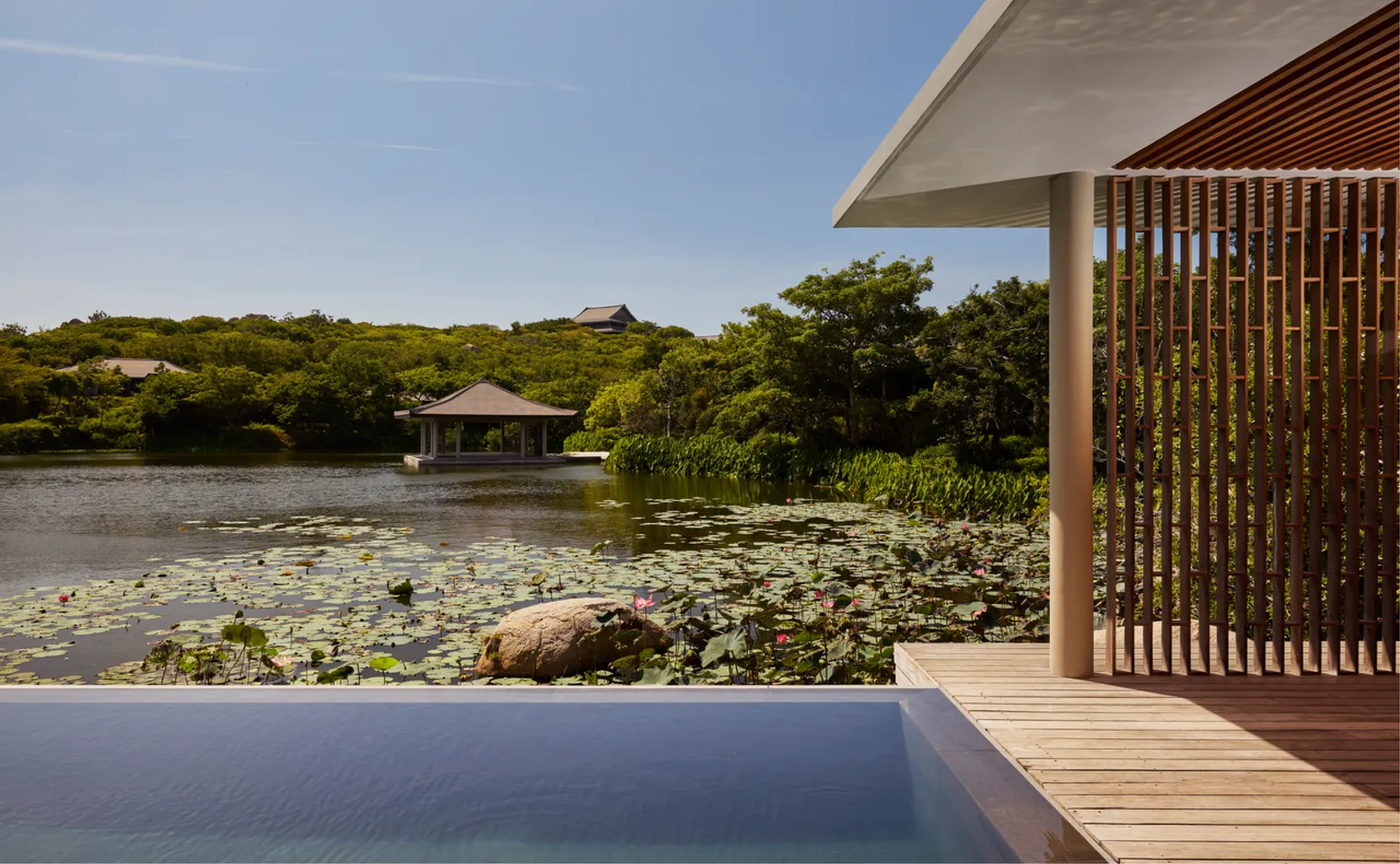 The Lake Wellness Pool Villa’s pool facing the lily-covered lake
