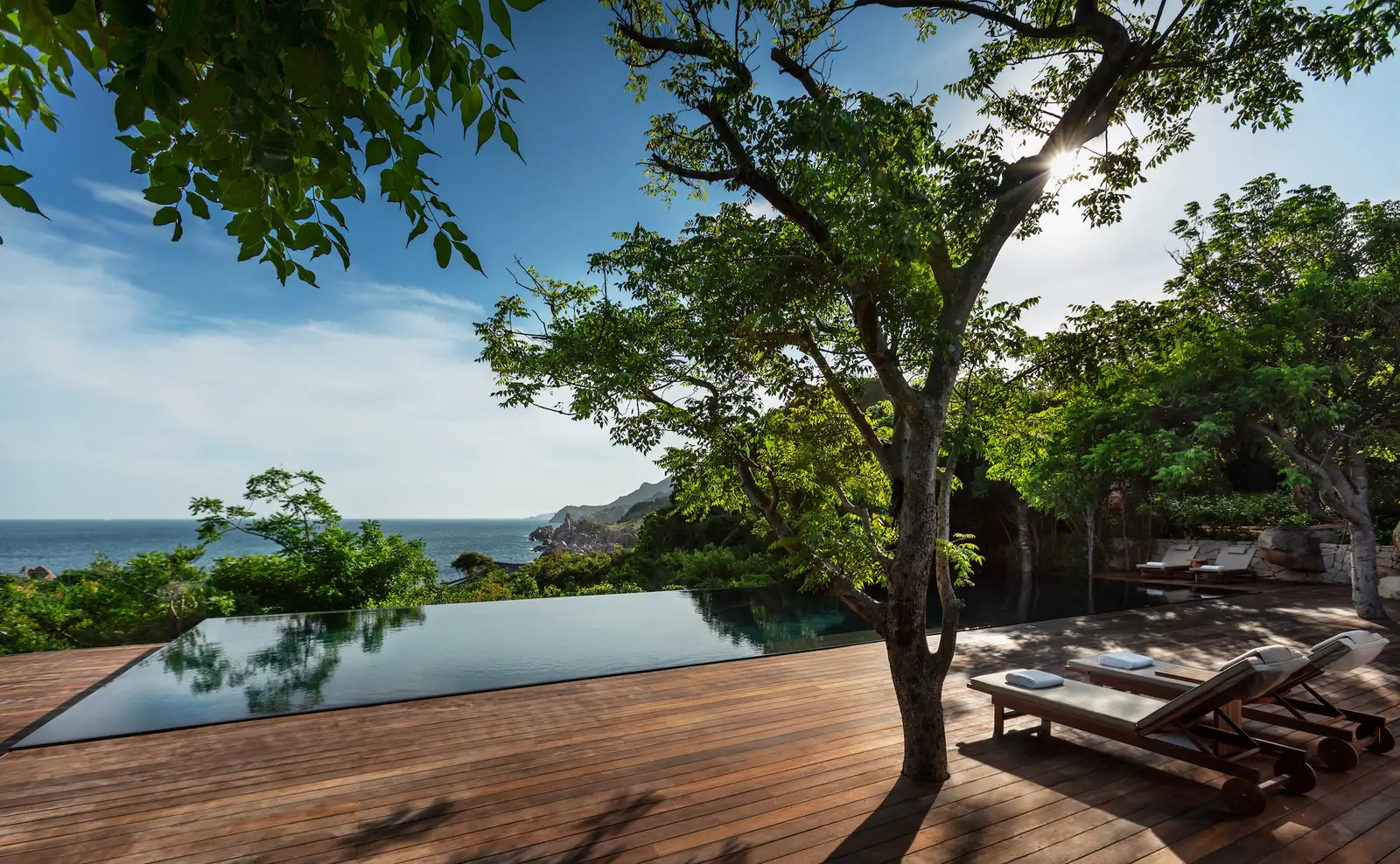 The Two-Bedroom Ocean Pool Residence deck under a tree, with the infinity pool and the sea
