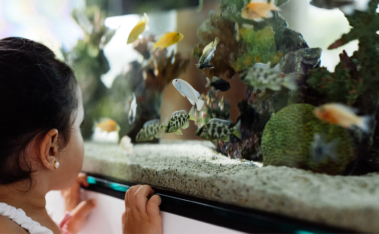 A girl watching fish in the aquarium of the children’s centre