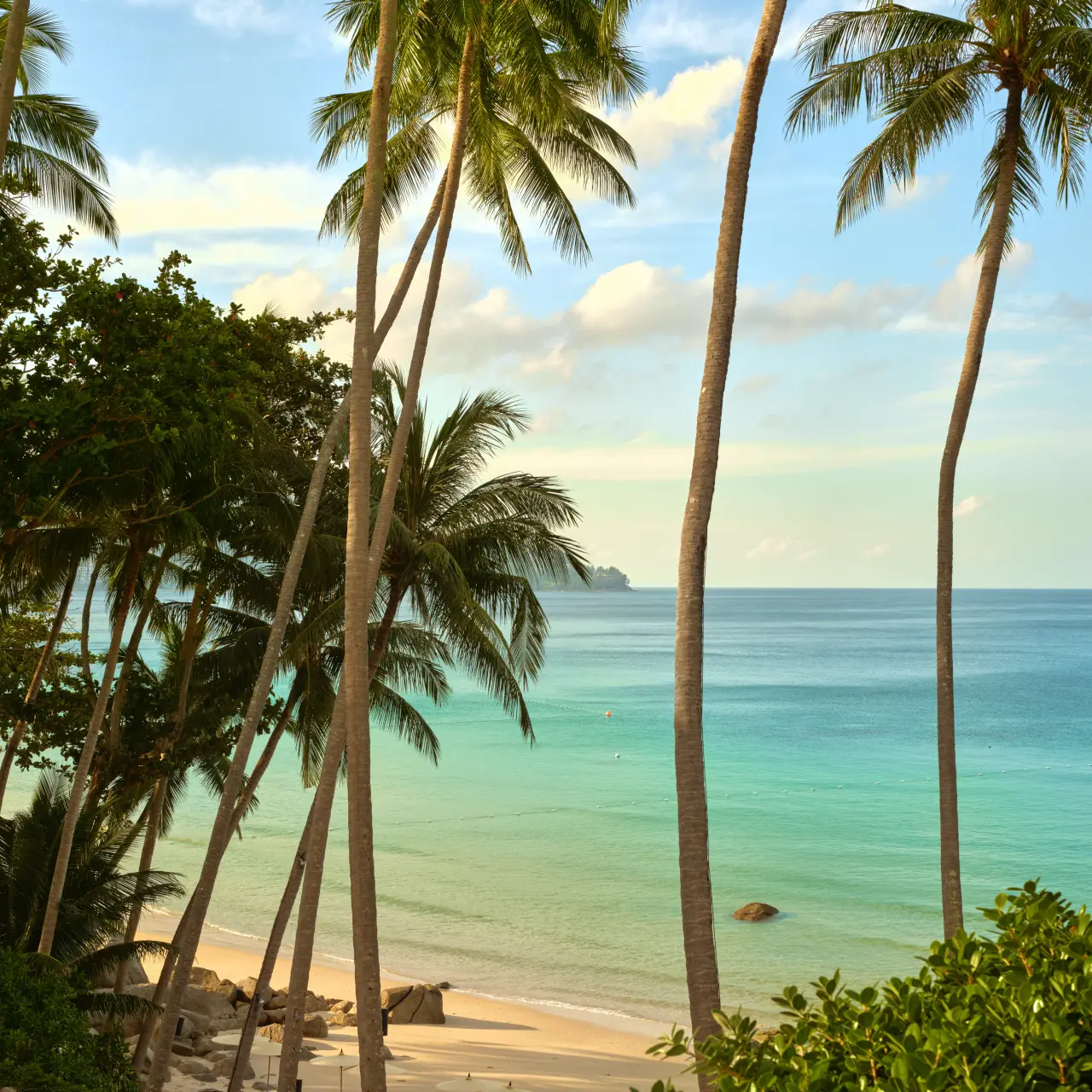 Pansea Beach from the hillside through the coconut palms: white sand, turquoise water and a rocky point