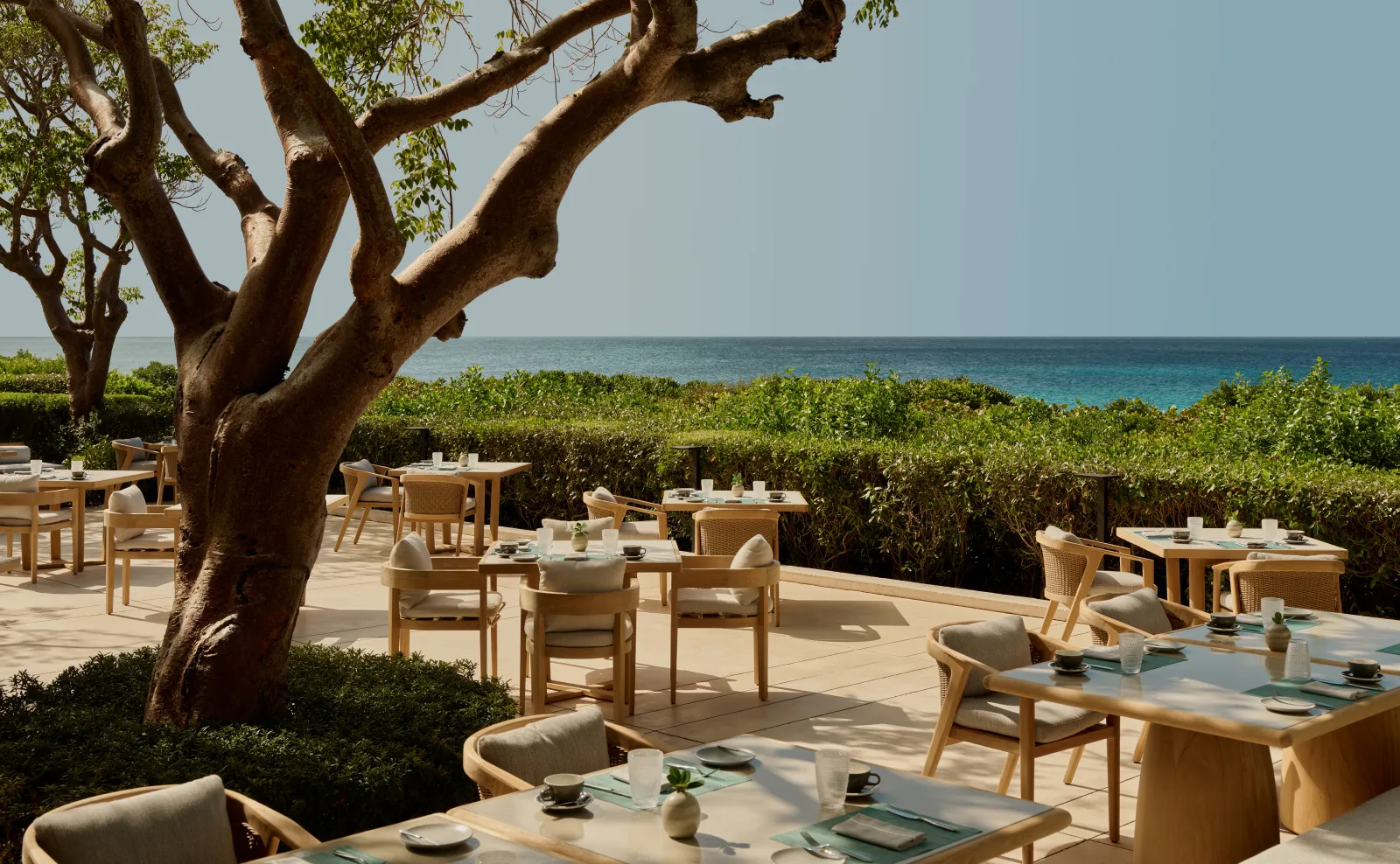 The restaurant’s outdoor tables, laid under a large tree, with the hedge and the sea behind.