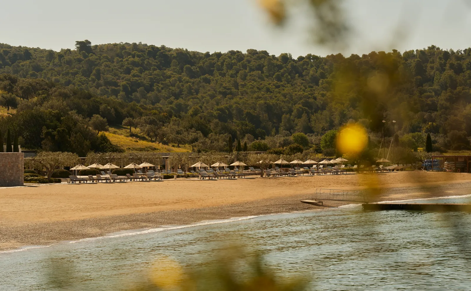 The Beach Club’s beach from the water: a row of parasols on golden sand below the pine-covered hill.