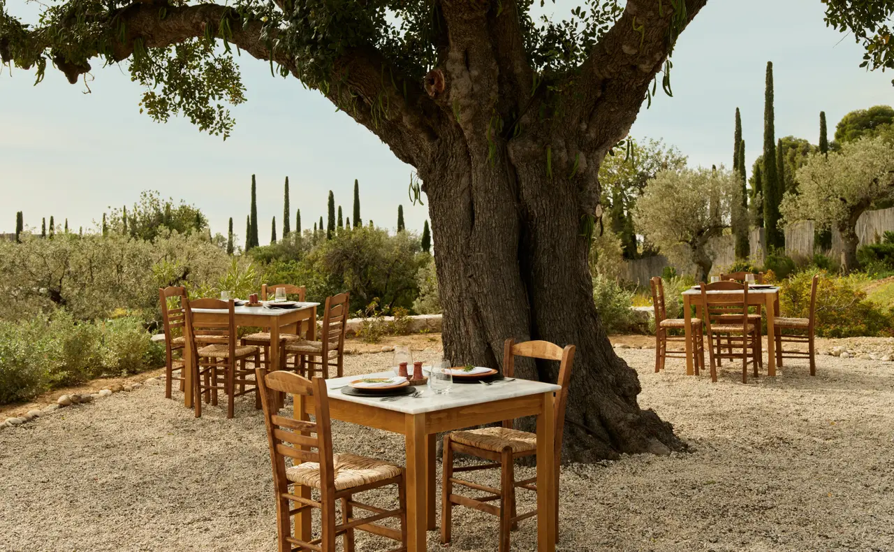 Bostani’s tables under a great olive tree, rush-seated chairs on the gravel and the kitchen garden’s cypresses around.