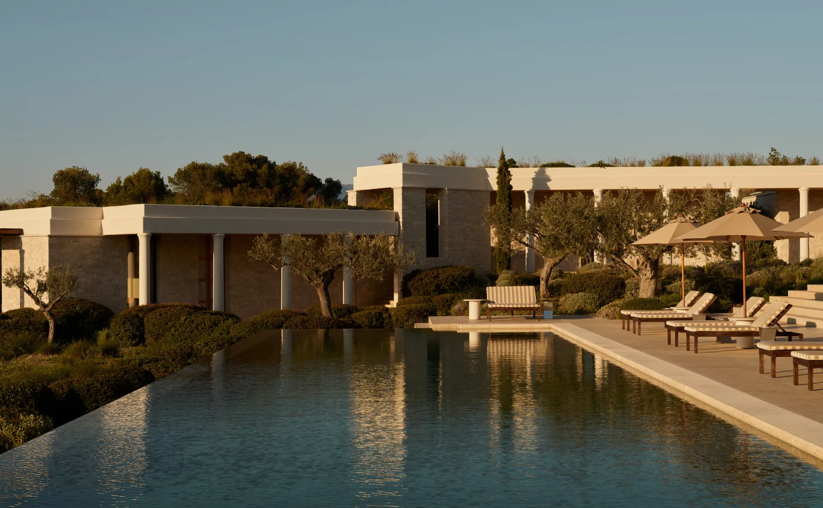 A 5-bedroom villa’s pool in the morning, loungers along the edge and low pavilions among olive trees.