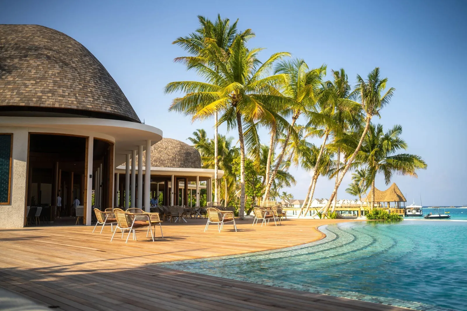 The main pool beside the Sting Bar on East Island, among the palms.