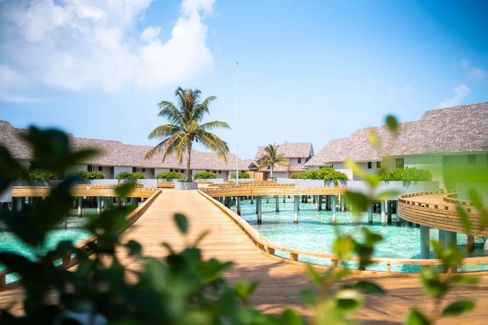 The wooden walkway out to the water villas, between the palms.