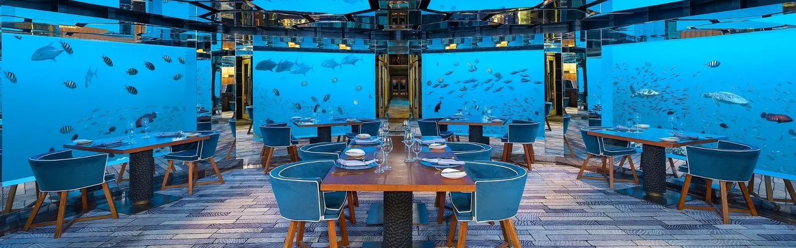 SEA’s dining room underwater, fish beyond the glass