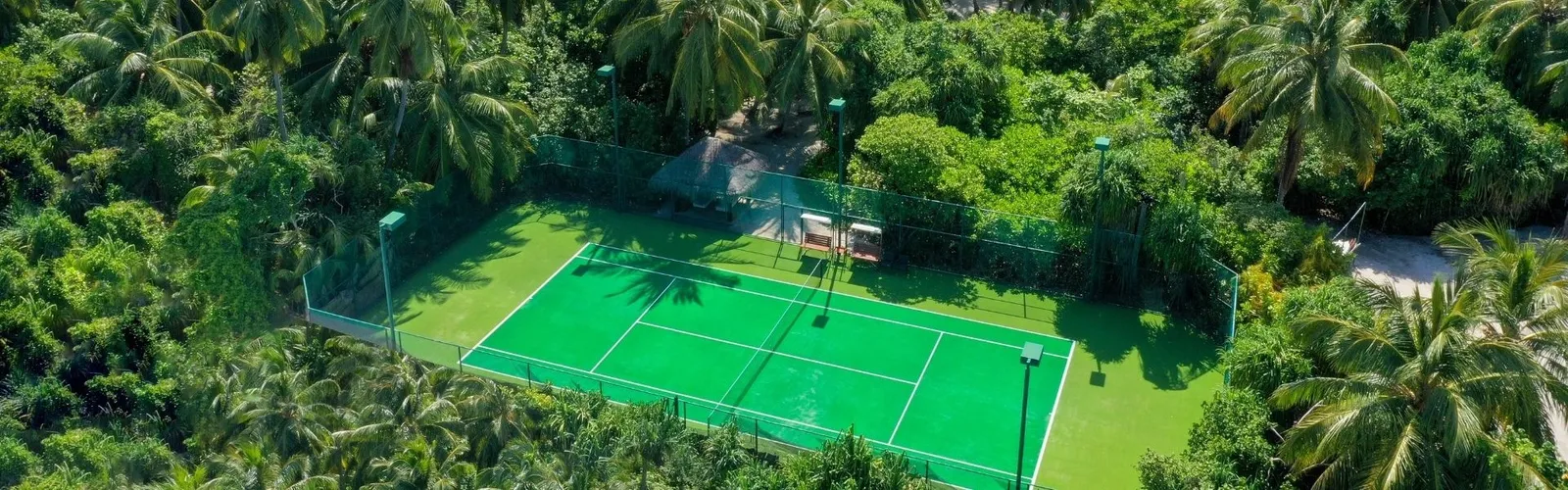 The green tennis court among the palms, from above
