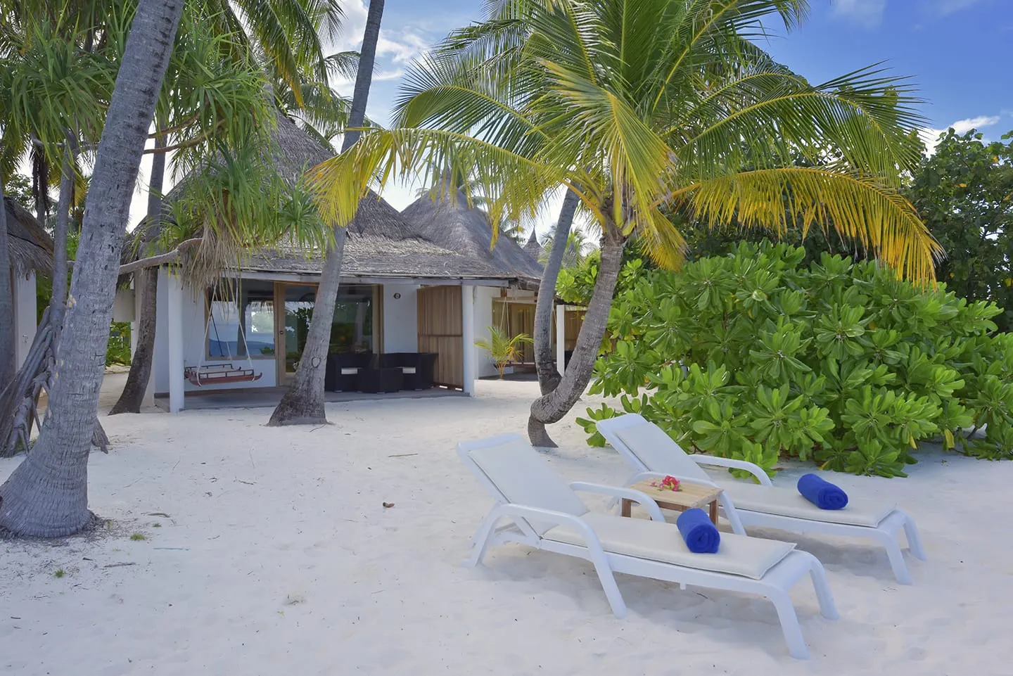 Un Superior Beach Bungalow fra le palme, con 2 lettini bianchi sulla sabbia davanti alla terrazza.