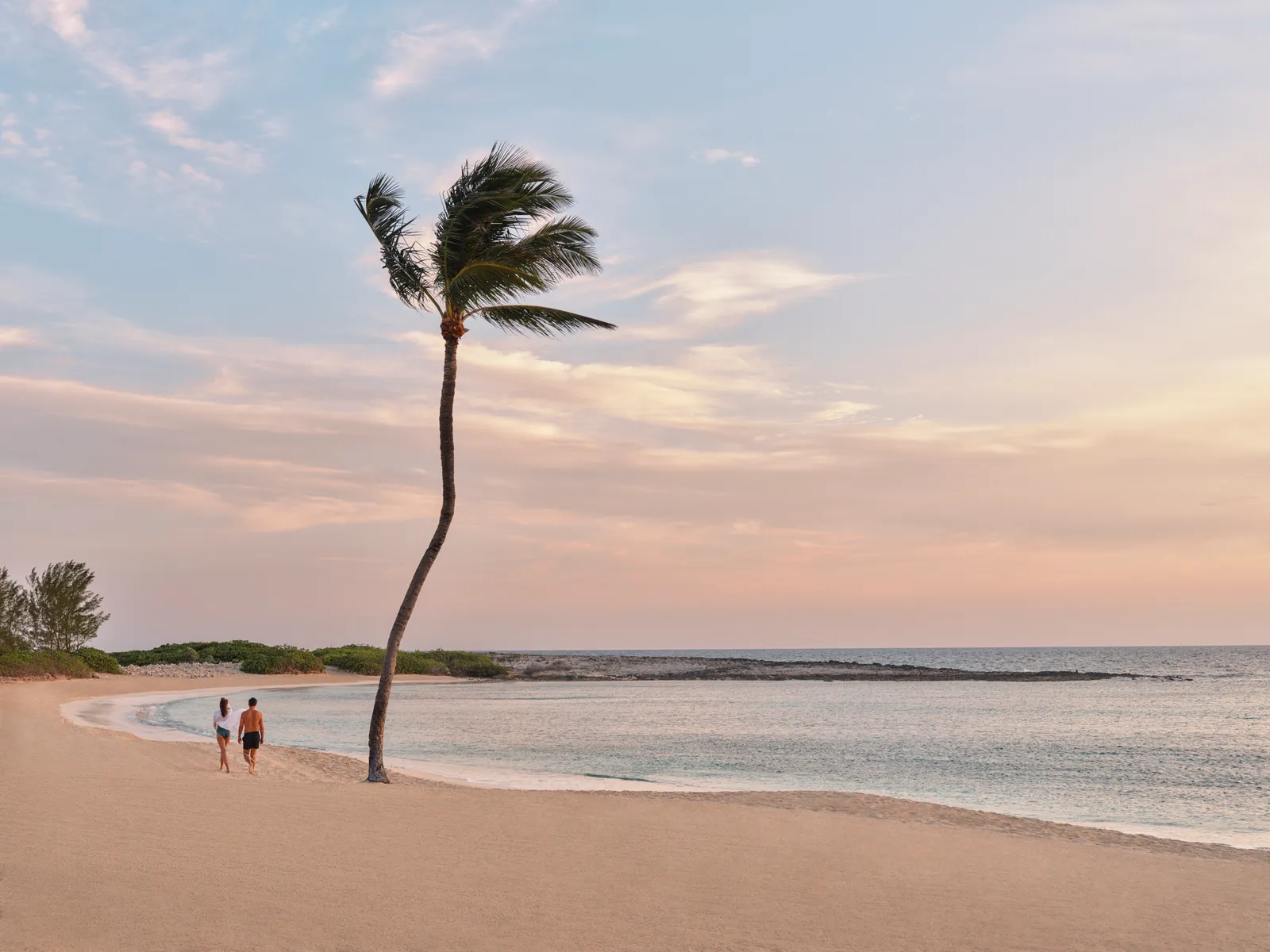 An empty beach at dusk, with one wind-bent palm and 2 people walking along the water’s edge.