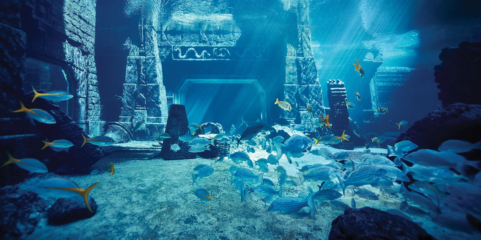 Underwater, the columns and gateways of a recreated sunken city, with shoals of fish crossing the blue light.