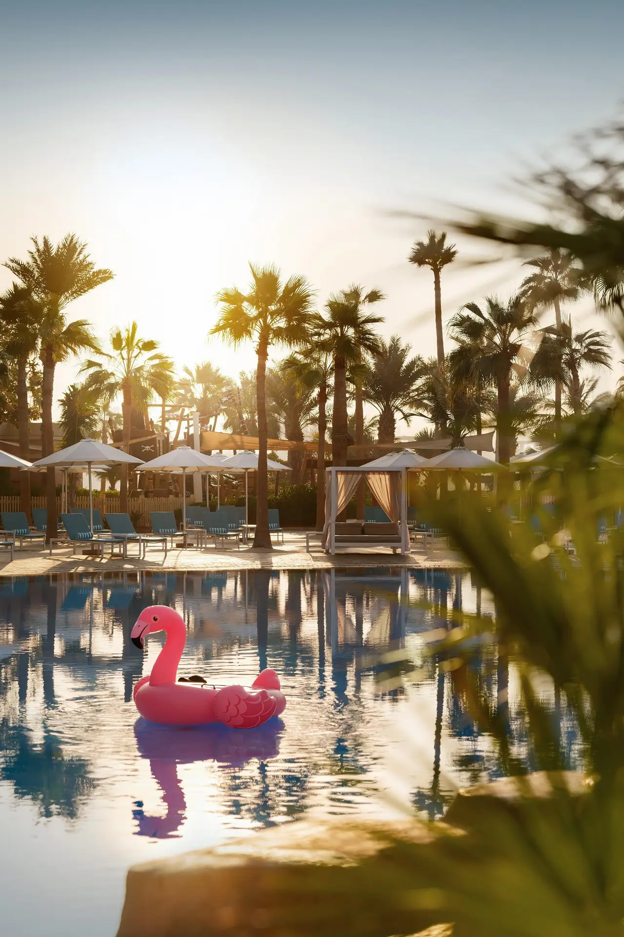 A pool among palms with a flamingo float