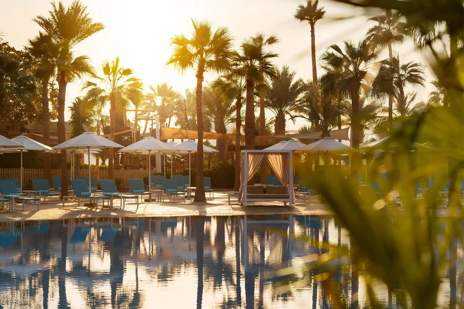 The family pool among palms at sunset